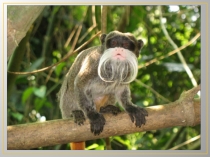 Презентация для 5 класса ФГОС Млекопитающие