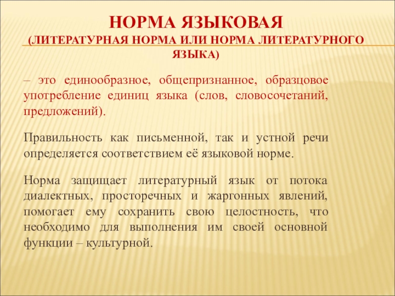 Понятие литературной нормы. Нормы русского литературного языка. Нормы литературного яка. Понятие нормы литературного языка. Соблюдение норм литературного языка.