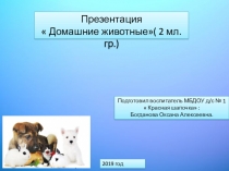 Презентация для 2 младшей группы  Домашние животные