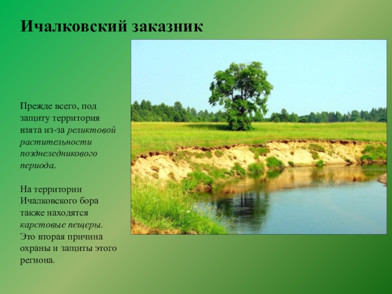 Заповедники Нижегородской области. Заказники Нижегородской области. Заповедники и заказники Нижегородской области. Заповедники Нижнего области.