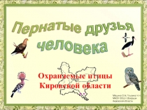 Охраняемые птицы Кировской области
