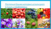 Презентация к уроку Растения Крыма