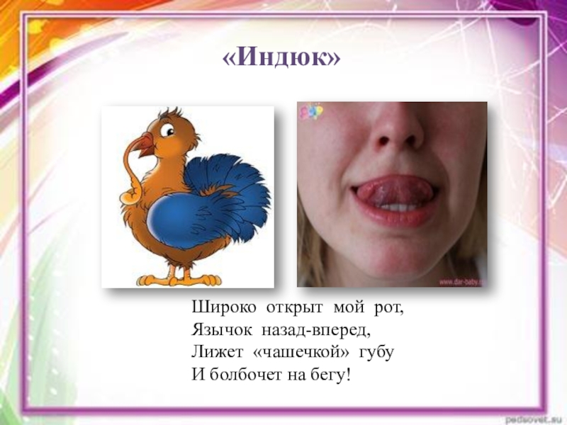 логопедическое упражнение индюк. артикуляционные упражнения индук. упражнение индюк. артикуляционная гимнастика для детей индюк. артикуляционная гимнастика индюк в картинках.