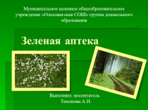 Зеленая Аптека