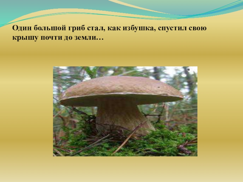 Грибы 1 класс. Один большой гриб стал как избушка. Один большой гриб стал как избушка спустил свою крышу почти до земли. Один большой гриб стал как. Один гриб стал как избушка спустил свою.