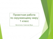 Презентация по окружающему миру Животные саванны