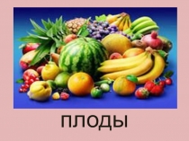 Презентация побиологии на тему Плоды