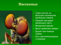 Презентация по Окружающему миру Разнообразие и особенность животных