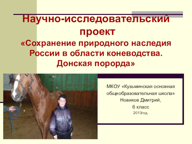 Презентация научно-исследовательского проекта Донская порода лошадей