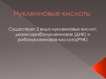 Презентация по биологии Нуклеиновые кислоты