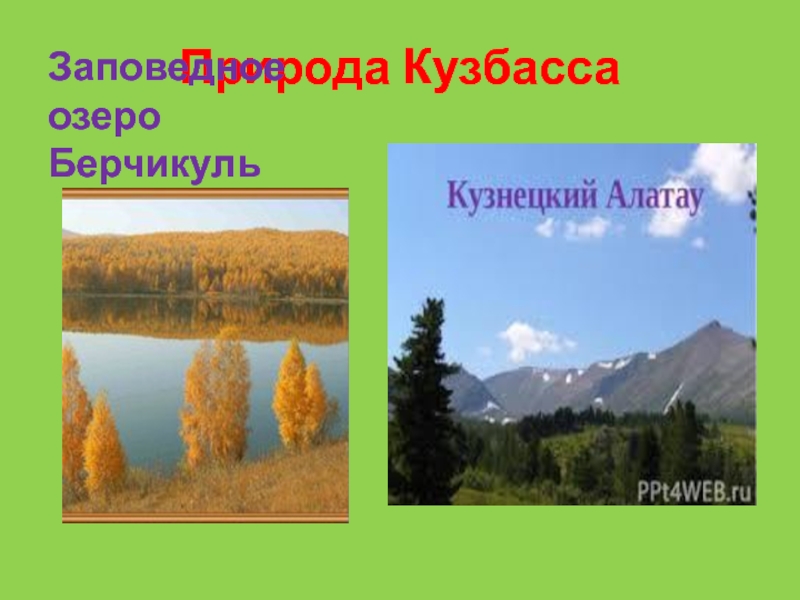 Природа кузбасса презентация