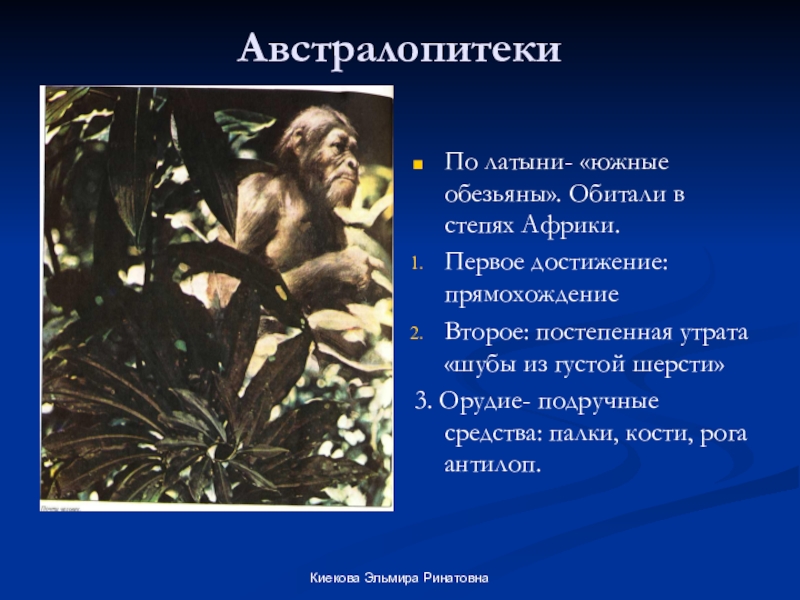 Презентация австралопитеки по биологии 9 класс