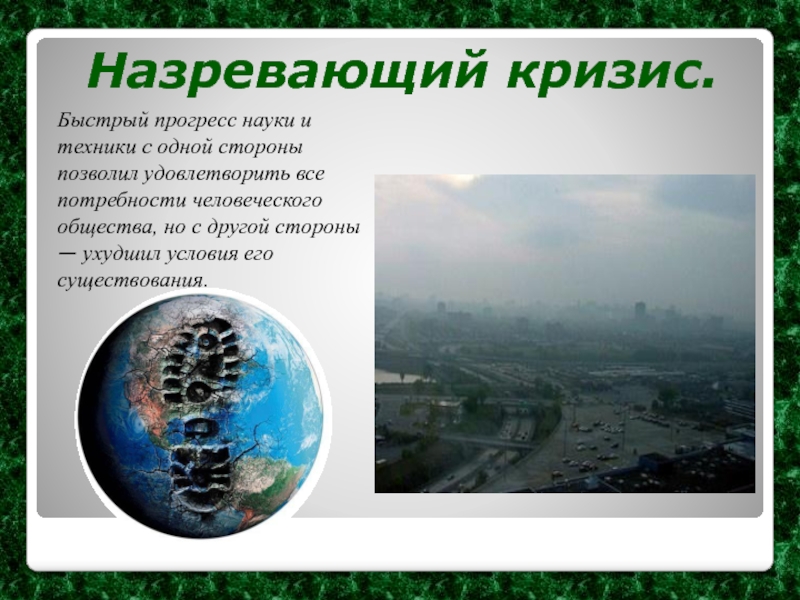Реферат: Глобальный экологический кризис