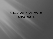 Урок на тему Австралия