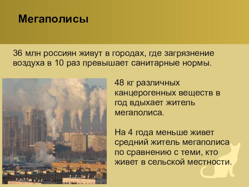 Мегаполисы36 млн россиян живут в городах, где загрязнение воздуха в 10 раз превышает санитарные нормы. 									48 кг