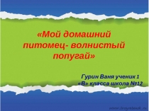 Проект Гурина Ивана по окружающему миру на тему Кто еще у нас живет (1 класс)