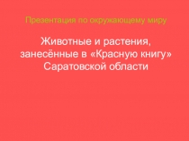 Презентация по окружающему миру