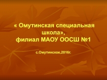 Презентация Формирование экономической грамотности старшеклассников специальной школы на уроках СБО.