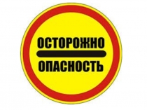 Презентация по окружающему миру на тему Опасность вокруг нас(2 класс)