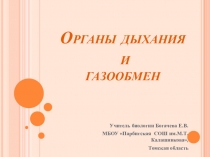 Презентация Дыхание и газообмен у животных