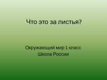 Презентация по окружающему миру Что это за листья (1 класс)