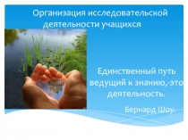 Доклад Организация Исследовательской деятельности