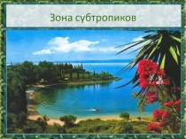 Презентация по окружающему миру на тему Субтропики России