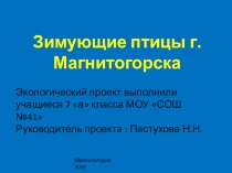 Презентация Экологический прект по биологии Зимующие птицы г.Магнитогрска