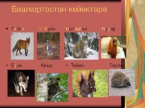 Изучение произведения Нугмана Мусина Коралайзар