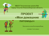 Презентация по окружающему миру Мои животные попугаи