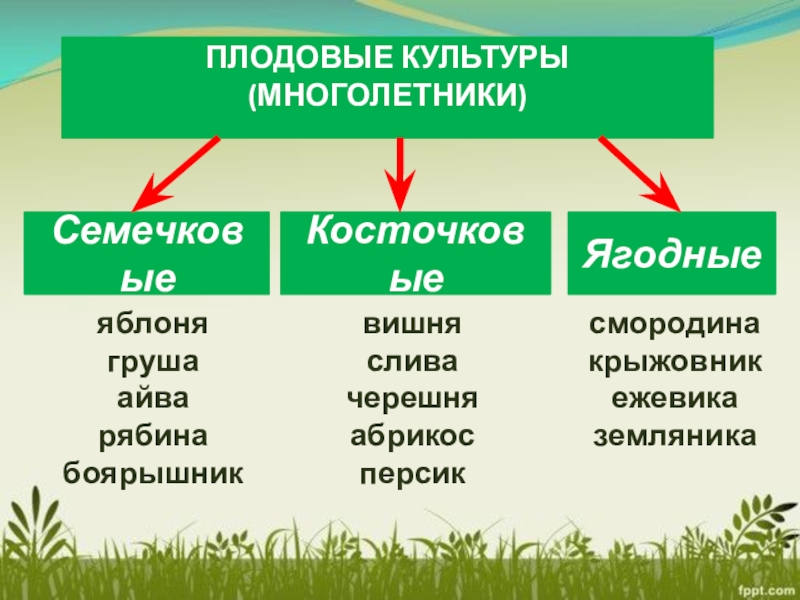 1 класс окружающий мир презентация май весну завершает лето начинает