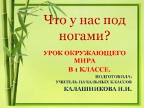 Презентация по окружающему миру на тему Что у нас под ногами ? ( 1 класс)