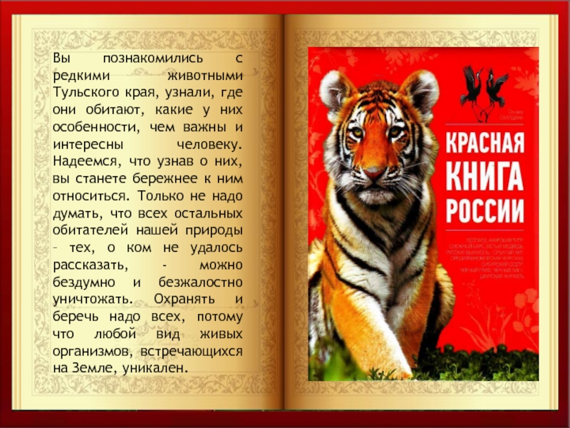 Животное из красной книги тульской области фото и описание