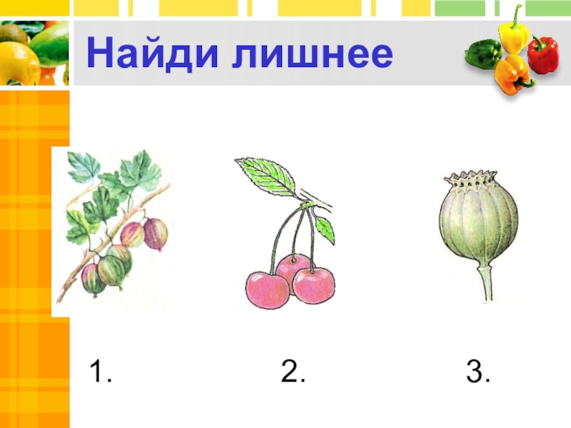 Проверочная по теме плод 6 класс. Проверочная по теме плод 6 класс. Тест разнообразие плодов 6 класс. Найди лишнее картинки сложные. Проверочная работа плоды 6 класс.