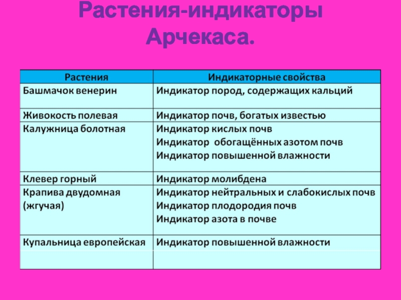 Растения индикаторы презентация