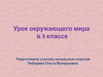 Презентация урока окружающего мира Здоровый образ жизни в 3 классе