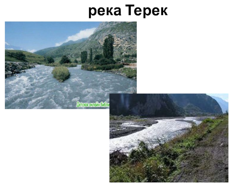 Карта бассейна реки терек