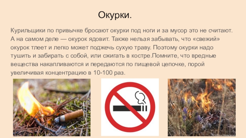 Почему нельзя х. Нельзя курить в лесу. Курит в лесу. Непотушенная сигарета в лесу. Не бросать окурки.