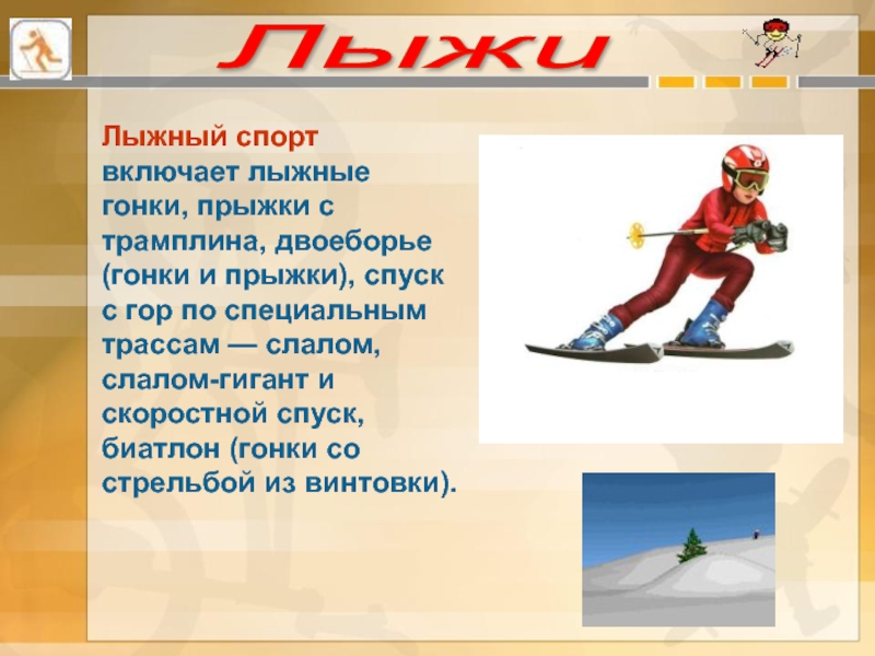 Лыжи Лыжный спорт включает лыжные гонки, прыжки с трамплина, двоеборье (гонки и прыжки), спуск с гор по
