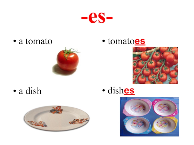 -es-a tomatotomatoesa dishdishes