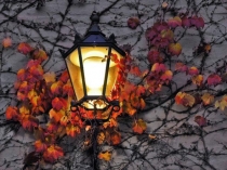 Осенний праздник на конец 1 триместра