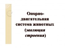 ПРЕЗЕНТАЦИЯ К УРОКУ БИОЛОГИИ 7 КЛАСС