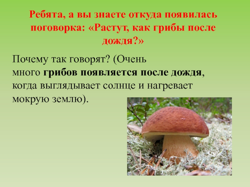 После дождя предложения. Презентация по окружающему миру 3 класс грибы. Фразеологизмы про грибы. Где произрастают грибы все. Как грибы после дождя.