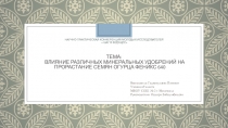 Презентация по биологии на тему Влияние различных минеральных удобрений на прорастание семян огурца Феникс 640