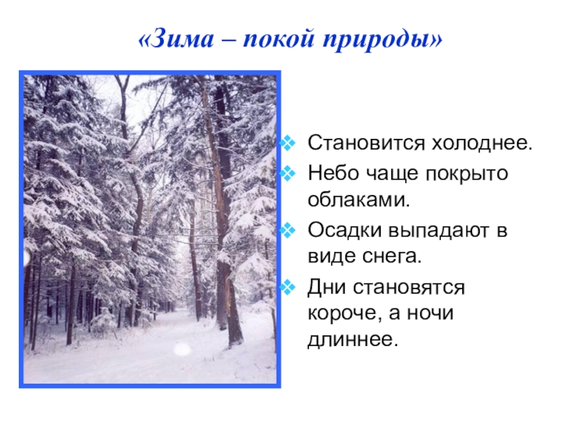 Свойства зимы. Презентация на тему зима. Описание зимы. Описание зимы для детей. Сообщение о зиме.