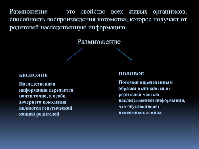 Что такое яйцеживорождение в биологии. Воспроизведение потомства. Живорождение характерно для. Живорождение это в биологии. Воспроизведение потомства.