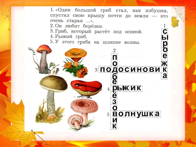 Гриб реши. Вопросы про грибы. Кроссворд на тему грибы с вопросами. Вопросы про грибы с ответами. Кроссворд про грибы с вопросами.