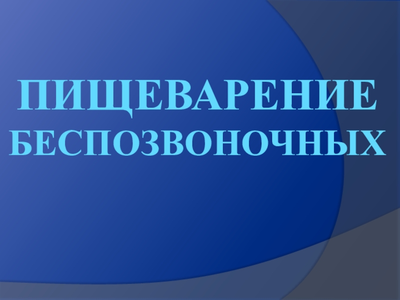 Презентация пищеварение беспозвоночных