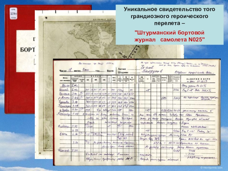 Штурманский план полета образцы