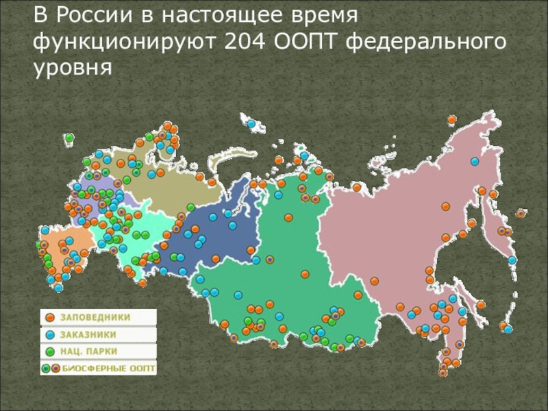 Презентация особо охраняемые природные территории тульской области